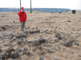 Visiting a Site in the Colod of Winter